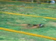 laatse wedstrijd gehancicaptensport doetinchem (14).JPG